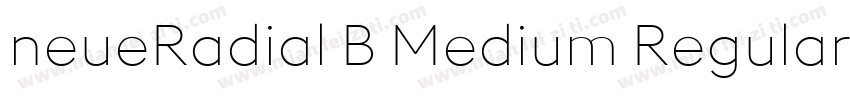 neueRadial B Medium Regular字体转换